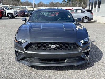 2019 Ford Mustang EcoBoost