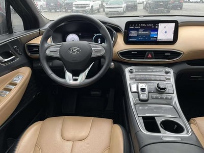 2023 Hyundai Santa Fe Calligraphy