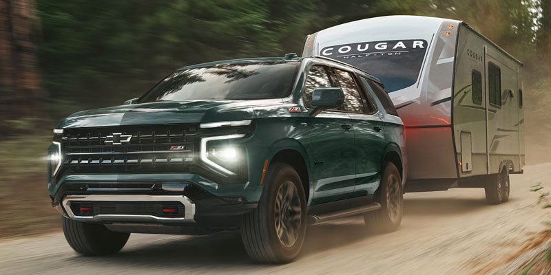 Seat covers displayed on the back of a car